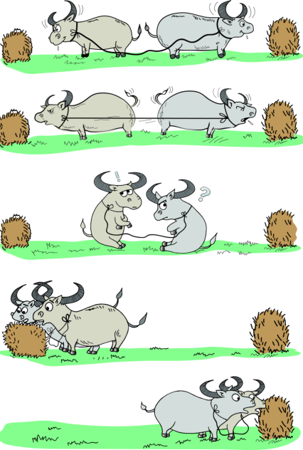 miteinander Lösungen finden.